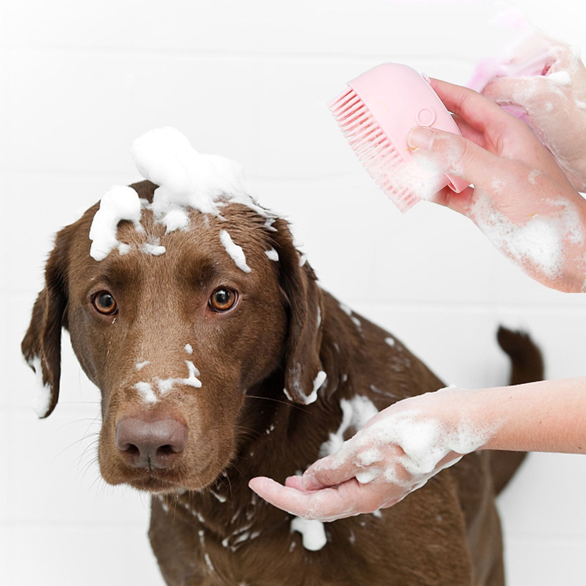 Poochi Pets Soft Pet Scrub Massage Dispenser Grooming Shower Brush