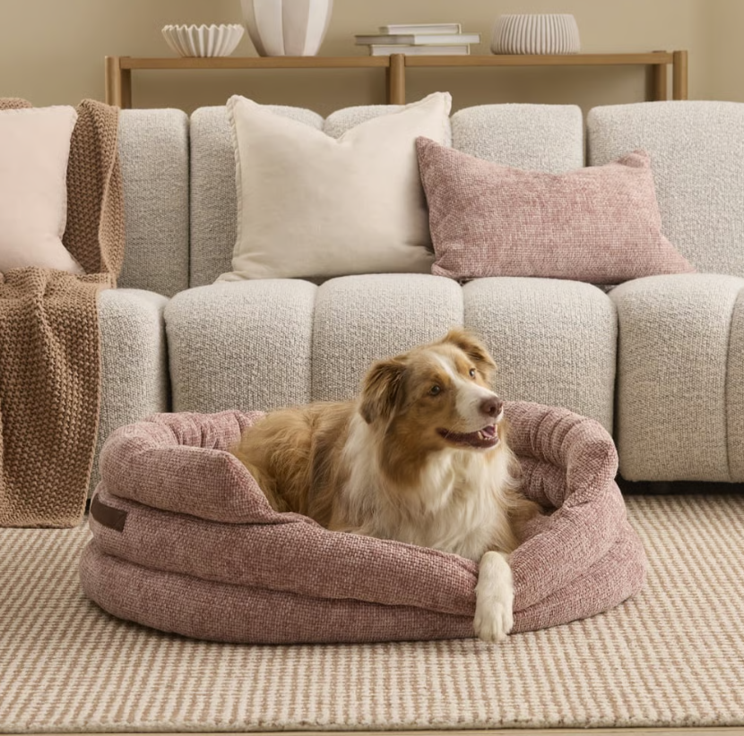 Pet Beds