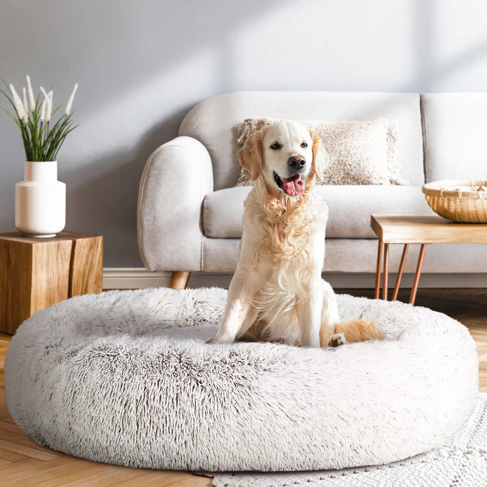 Pet Beds